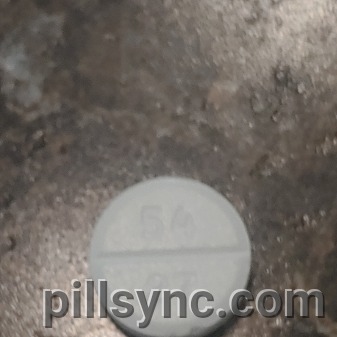 Dont Take It Identifying White Round Pill 54 27 - gt4w5z8